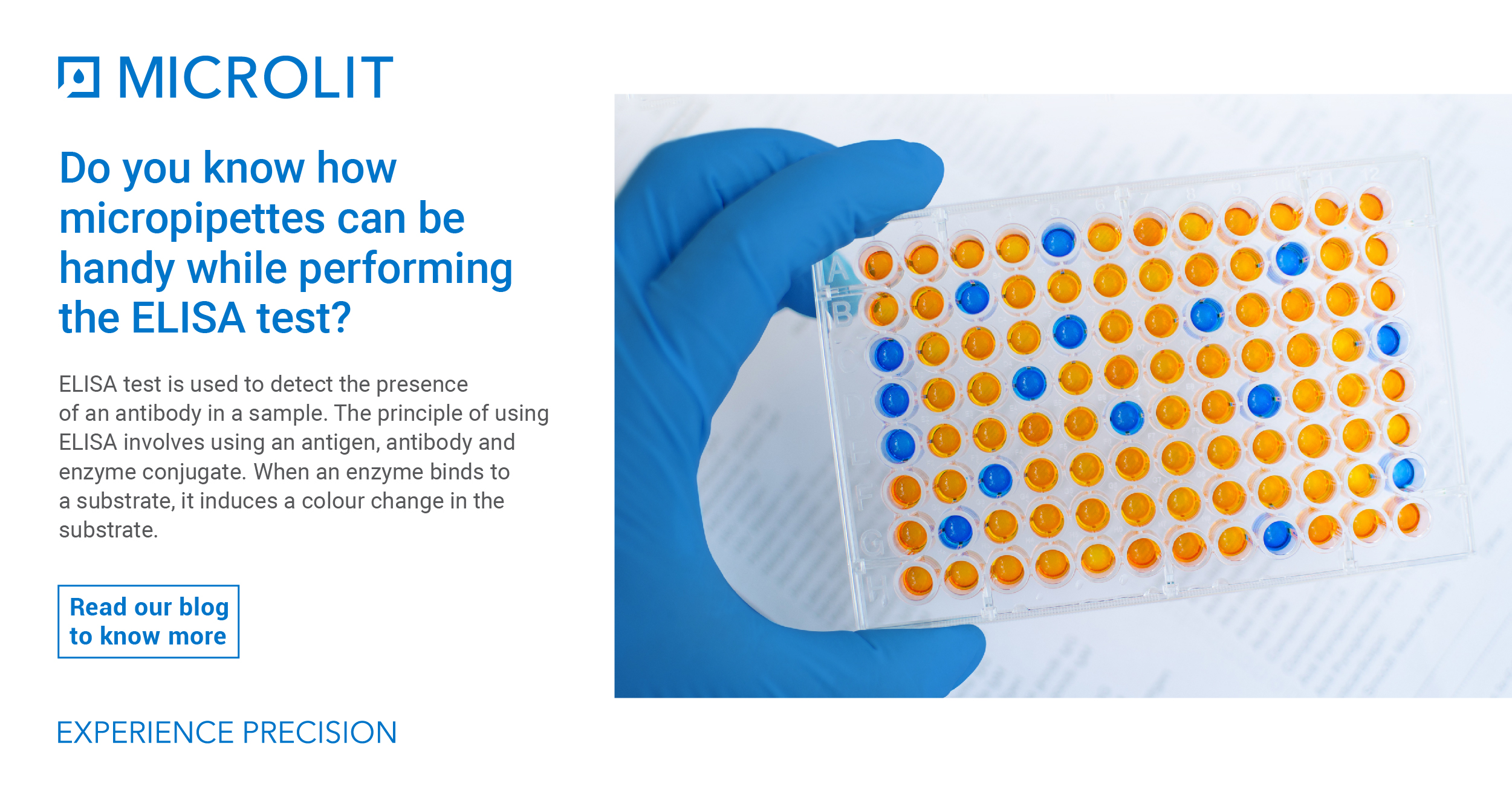 Understanding ELISA test basics and how micropipettes can be handy ...